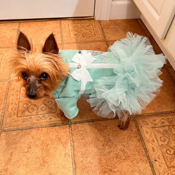 “Tiffanys-like” dress for your little fur baby - Picture 2 of 4